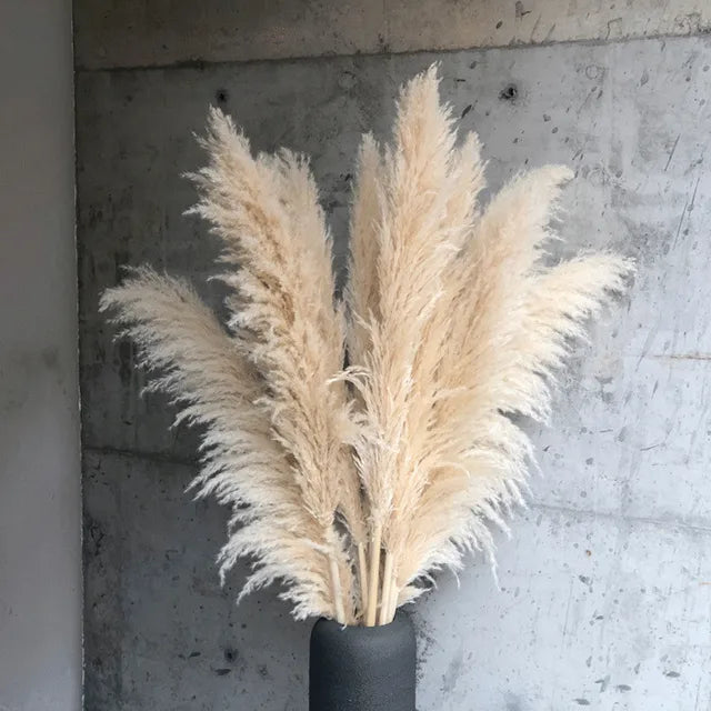 Dried Pampas Grass Decor Natural Boho Pampas Stems for Vase