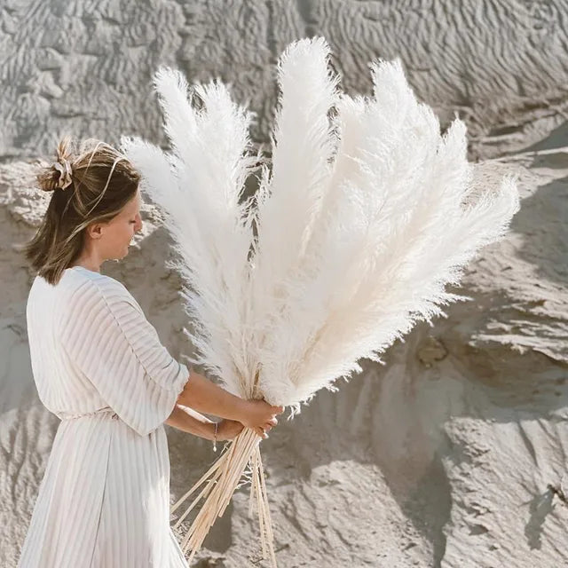 Dried Pampas Grass Decor Natural Boho Pampas Stems for Vase