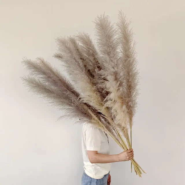 Dried Pampas Grass Decor Natural Boho Pampas Stems for Vase
