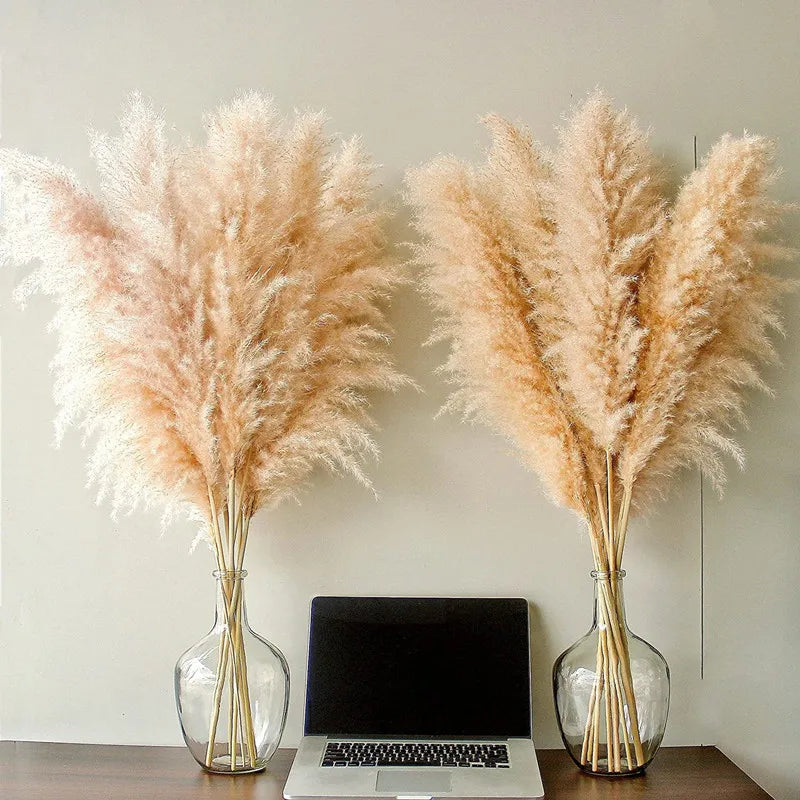 Dried Pampas Grass Decor Natural Boho Pampas Stems for Vase
