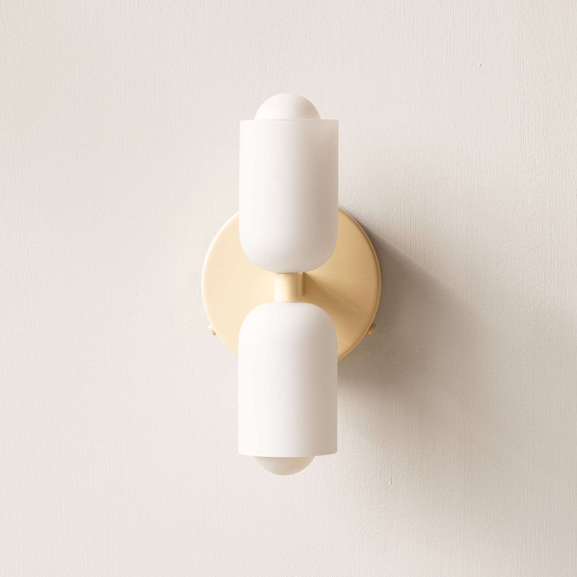 Up Down Wall Light Modern LED Wall Sconce with Acrylic Shades