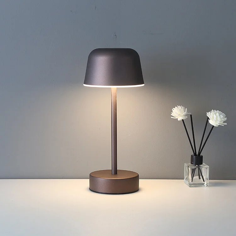 Modern Metal Pendant Light Contemporary Hanging Ceiling Lamp
