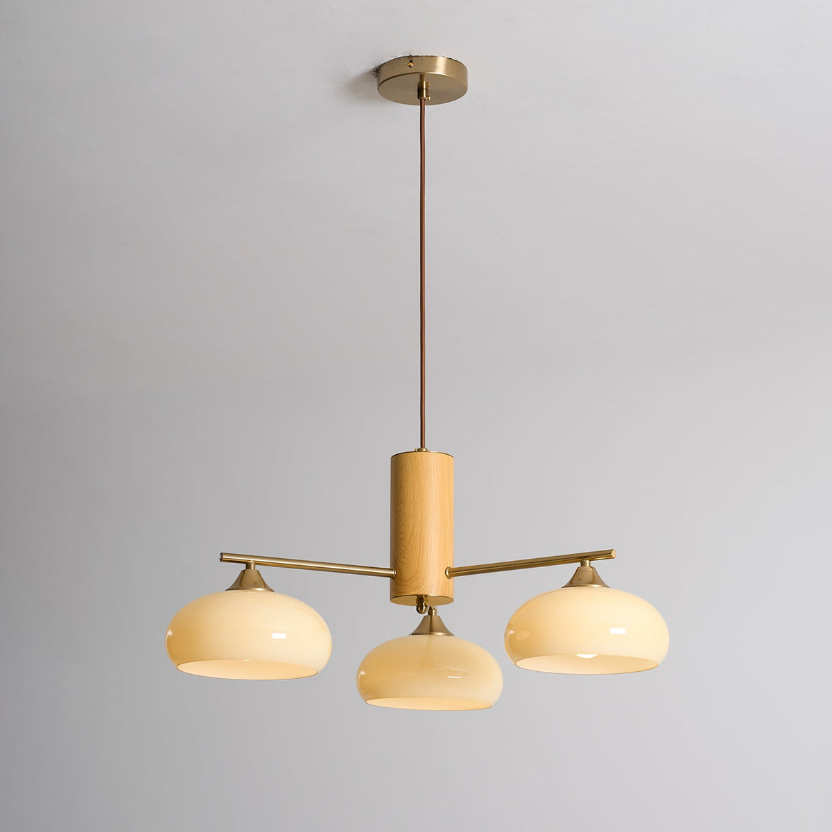 Elliptical Glass Globe Chandelier with Brass Arms | Dining Table Light Fixture