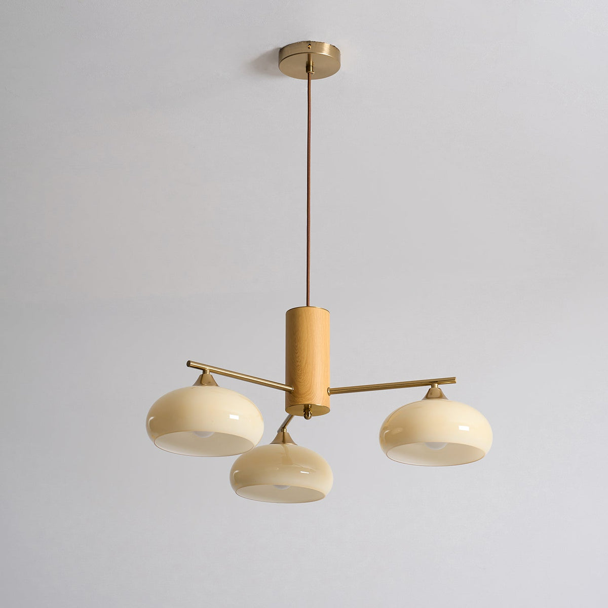 Elliptical Glass Globe Chandelier with Brass Arms | Dining Table Light Fixture