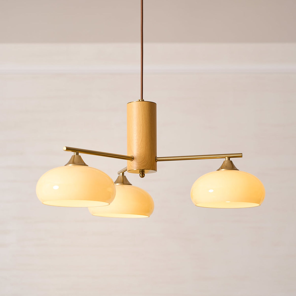Elliptical Glass Globe Chandelier with Brass Arms | Dining Table Light Fixture