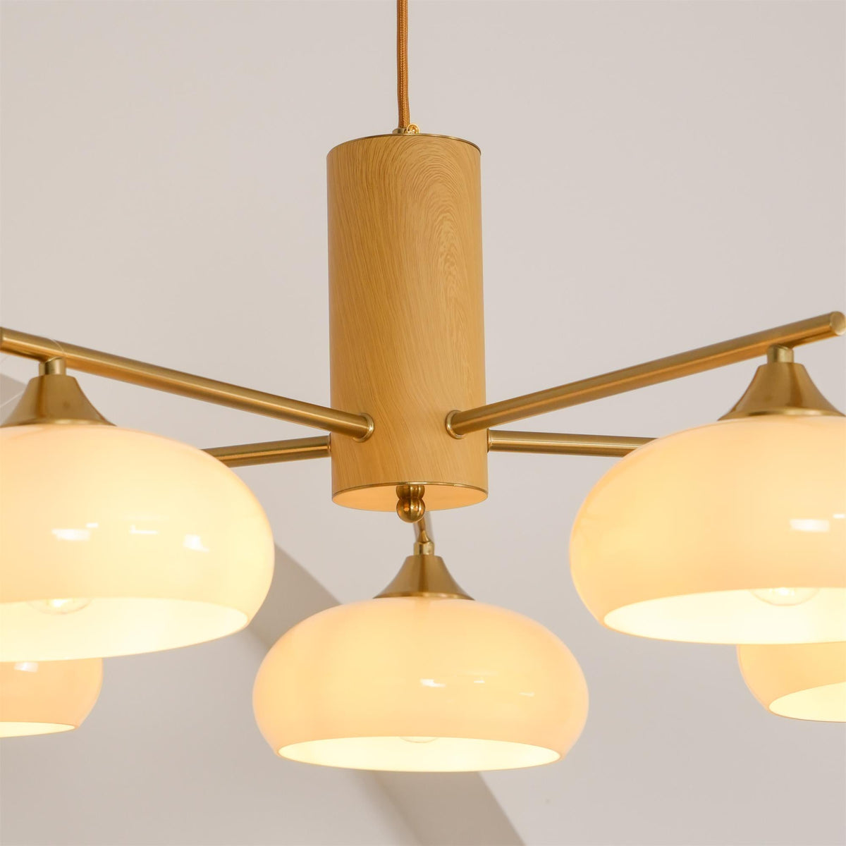 Elliptical Glass Globe Chandelier with Brass Arms | Dining Table Light Fixture