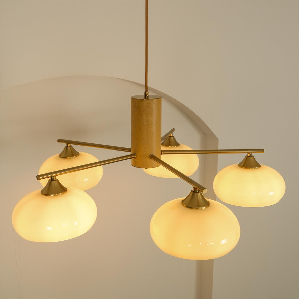 Elliptical Glass Globe Chandelier with Brass Arms | Dining Table Light Fixture