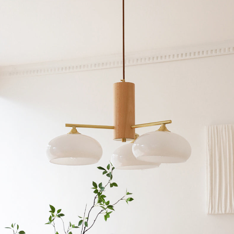 Elliptical Glass Globe Chandelier with Brass Arms | Dining Table Light Fixture