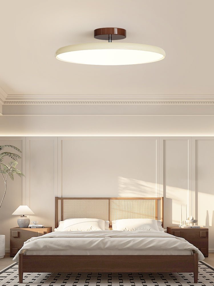 Auroradrift | Modern LED Ceiling Lamp with 270° Swivel Shade | Light for Sloped Ceilings