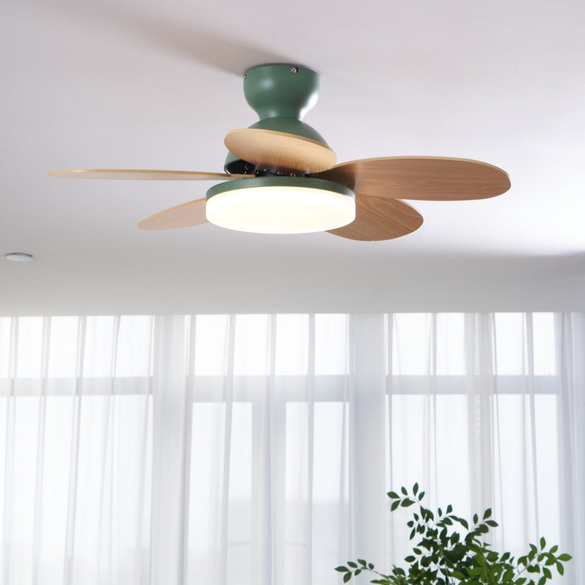 Petalux | Modern Ceiling Fan with LED Light and Remote | Quiet DC Motor for Living Rooms