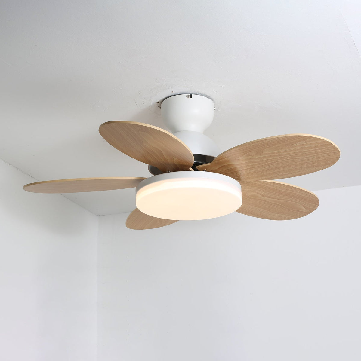 Petalux | Modern Ceiling Fan with LED Light and Remote | Quiet DC Motor for Living Rooms