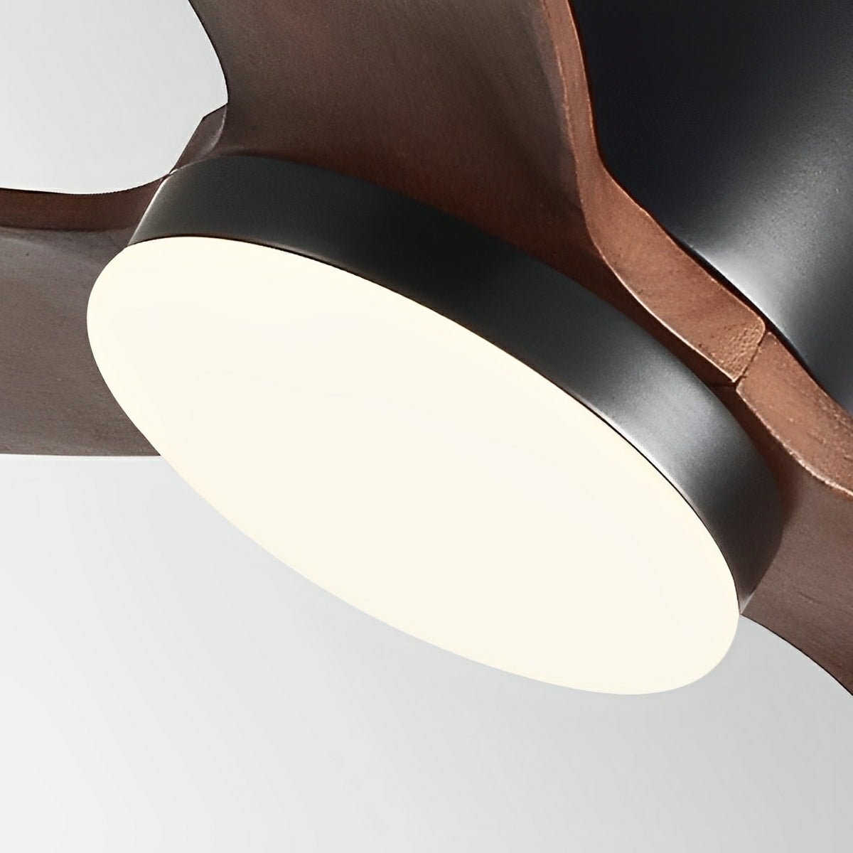 Modern Nordic Wood Ceiling Fan Light 6-Speed DC LED 3CCT