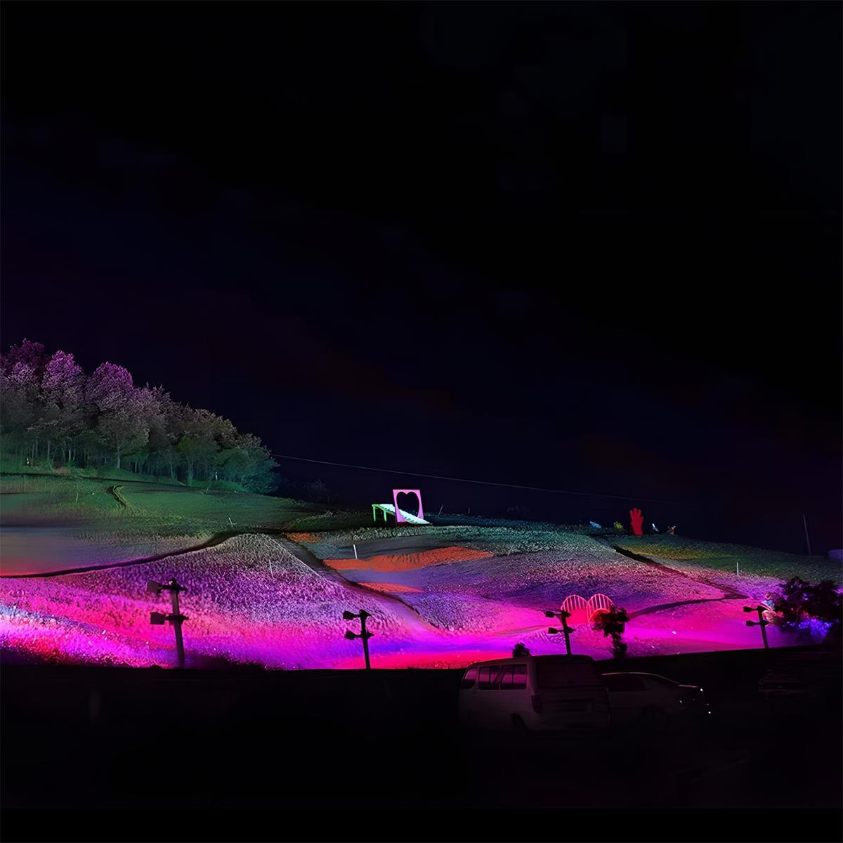 Outdoor RGB LED Spot Light IP65 Waterproof Landscape Light