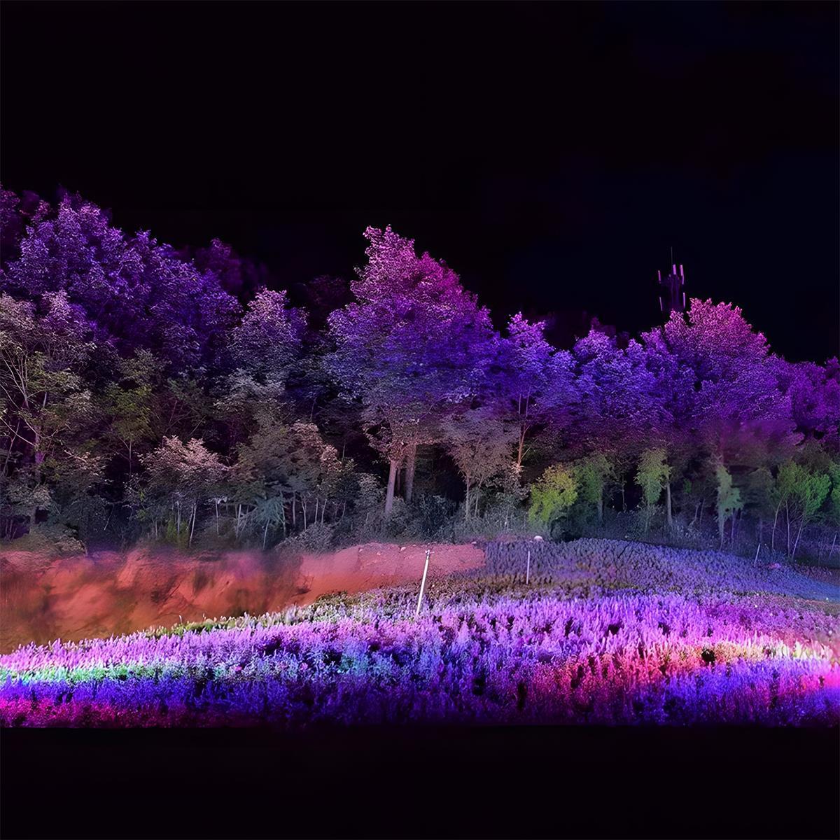 Outdoor RGB LED Spot Light IP65 Waterproof Landscape Light