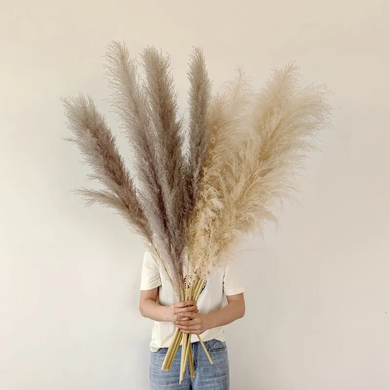 Dried Pampas Grass Decor Natural Boho Pampas Stems for Vase