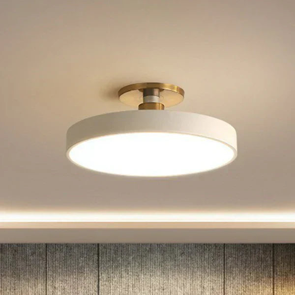 Minimalist Round LED Ceiling Light Nordic Flush Mount Lamp