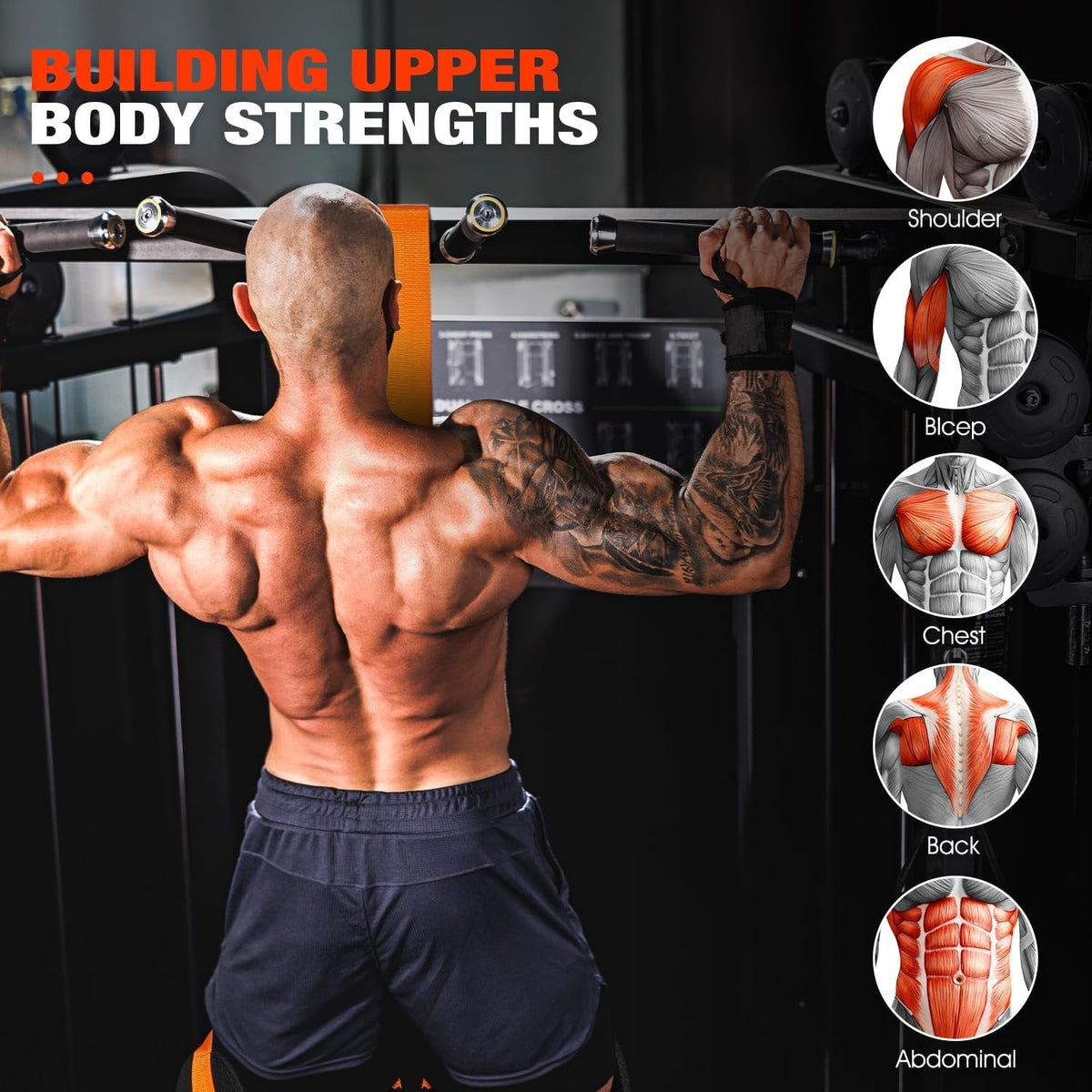 Ascent | Pull-Up Assistance Band with Double Foot Support | Steel Hooks for Pull-Up Bars