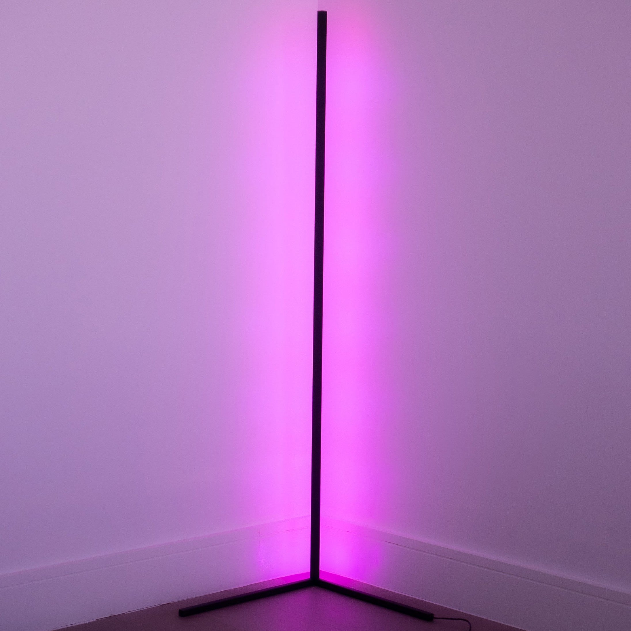 LED Corner Floor Lamp RGB Dimmable Modern Standing Lamp with Remote