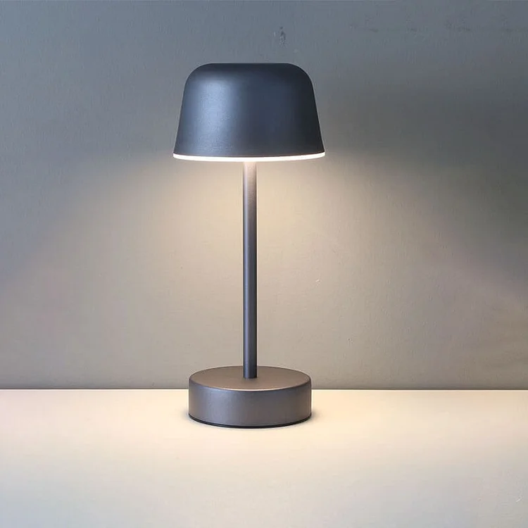 Modern Metal Pendant Light Contemporary Hanging Ceiling Lamp