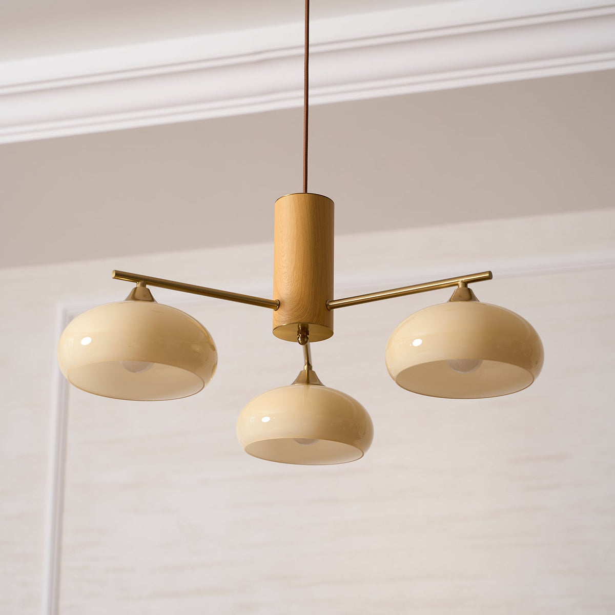 Elliptical Glass Globe Chandelier with Brass Arms | Dining Table Light Fixture