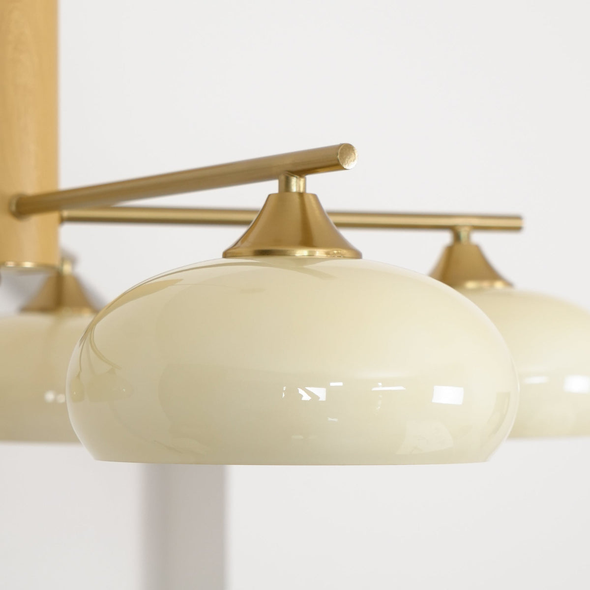 Elliptical Glass Globe Chandelier with Brass Arms | Dining Table Light Fixture