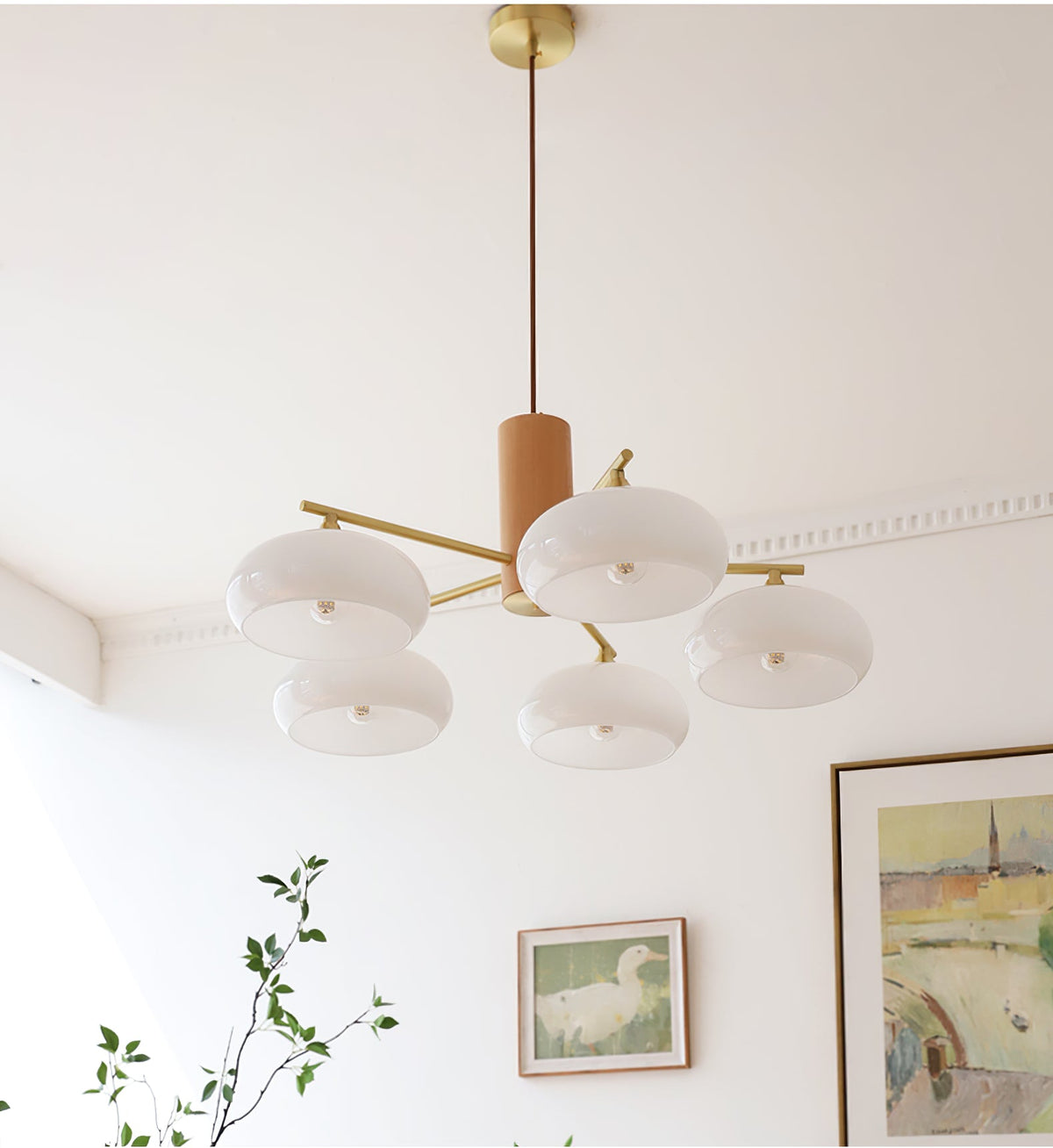 Elliptical Glass Globe Chandelier with Brass Arms | Dining Table Light Fixture