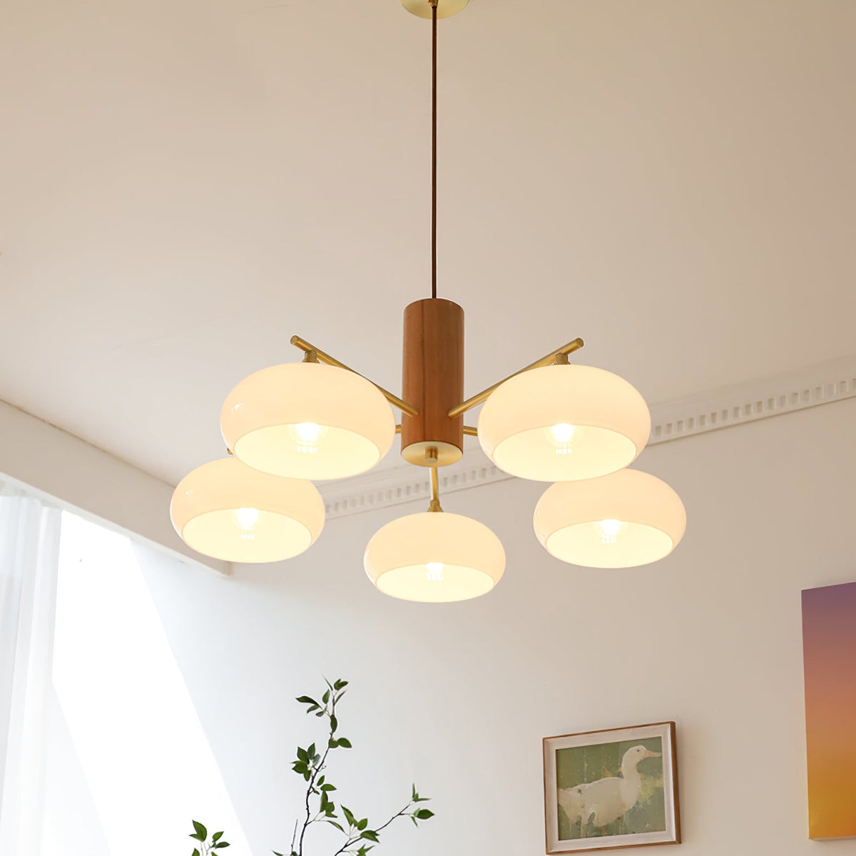 Elliptical Glass Globe Chandelier with Brass Arms | Dining Table Light Fixture