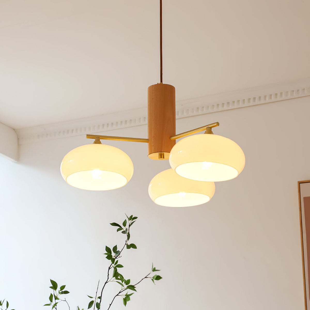 Elliptical Glass Globe Chandelier with Brass Arms | Dining Table Light Fixture