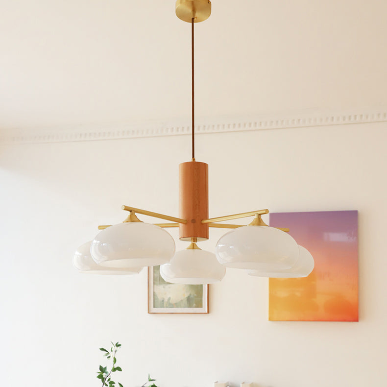 Elliptical Glass Globe Chandelier with Brass Arms | Dining Table Light Fixture