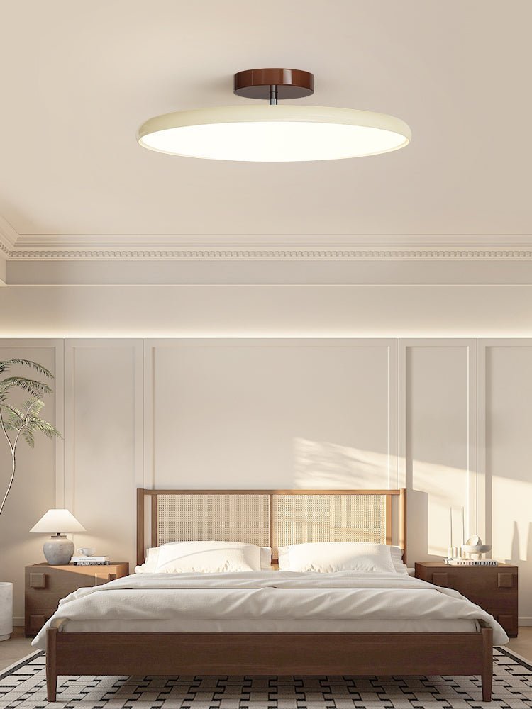 Auroradrift | Modern LED Ceiling Lamp with 270° Swivel Shade | Light for Sloped Ceilings