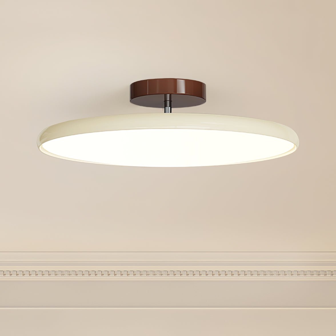 Auroradrift | Modern LED Ceiling Lamp with 270° Swivel Shade | Light for Sloped Ceilings