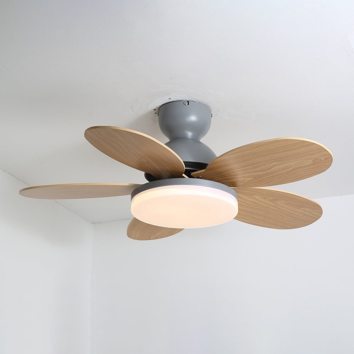 Petalux | Modern Ceiling Fan with LED Light and Remote | Quiet DC Motor for Living Rooms