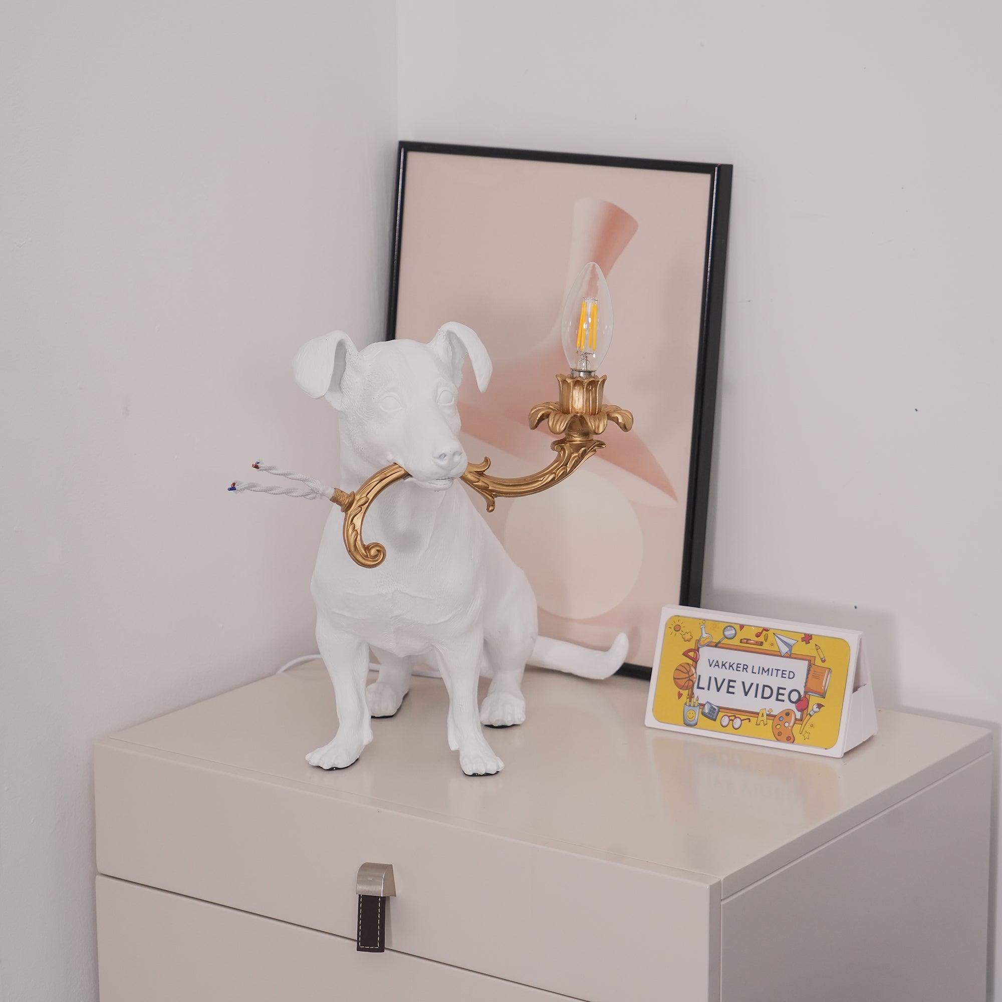 Modern Table Lamp Bedside Desk Lamp Decorative Nightstand Light