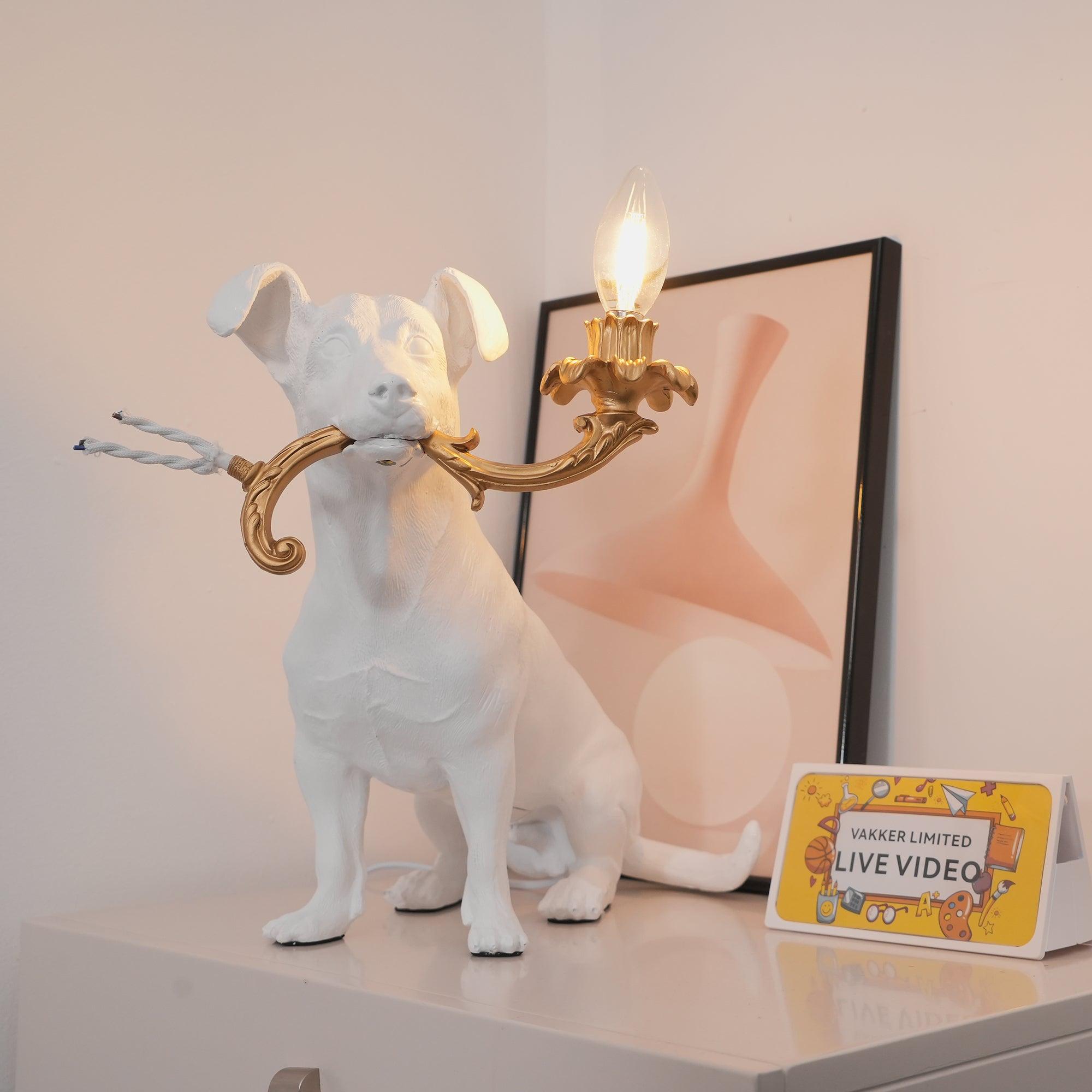 Modern Table Lamp Bedside Desk Lamp Decorative Nightstand Light