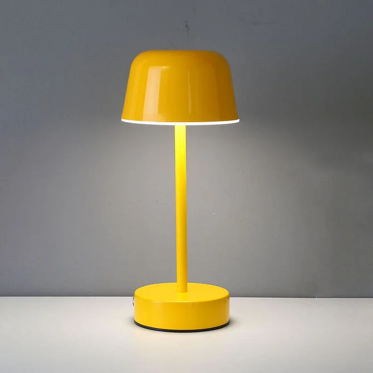 Modern Metal Pendant Light Contemporary Hanging Ceiling Lamp