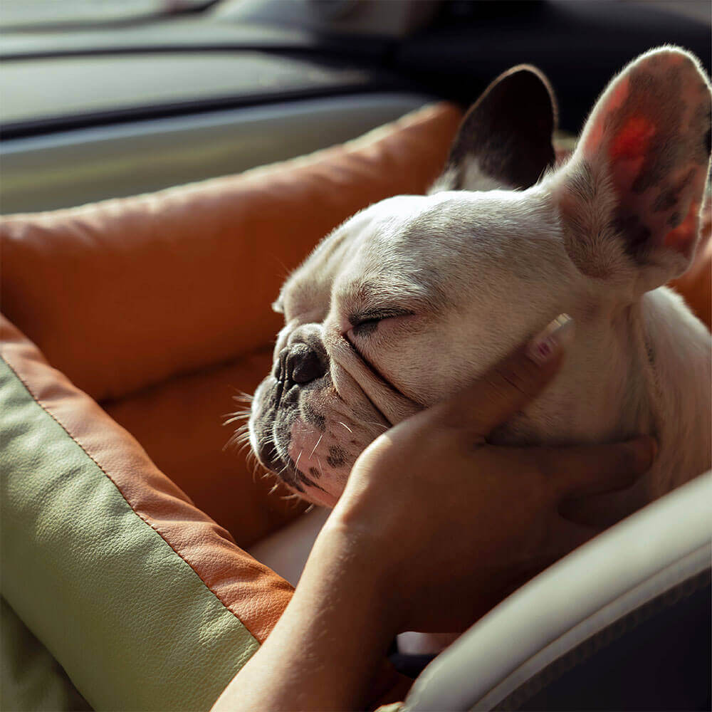 Rover | Faux Leather Dog Car Seat with Safety Belt, Plush Booster Bed for Long Car Trips