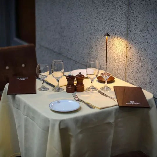 Wireless LED Table Lamp with Touch Dimming | Cordless Light for Any Room