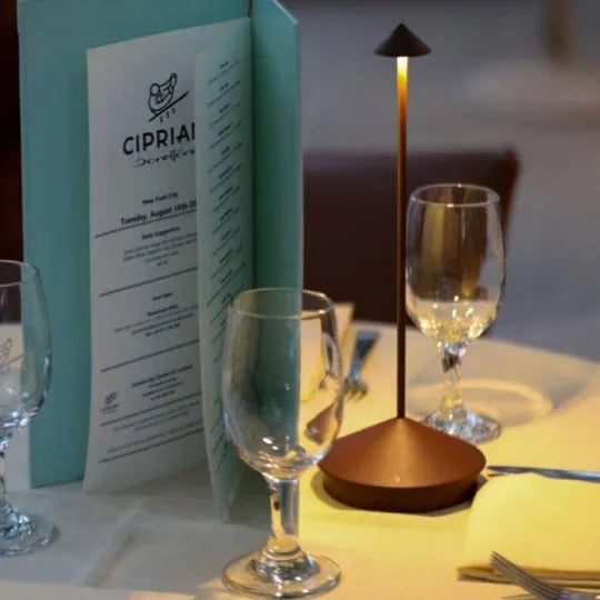 Wireless LED Table Lamp with Touch Dimming | Cordless Light for Any Room